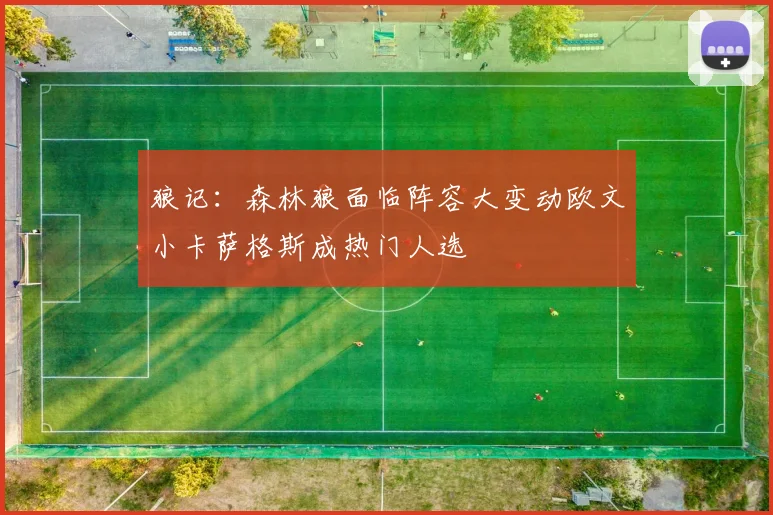 狼记：森林狼面临阵容大变动欧文小卡萨格斯成热门人选